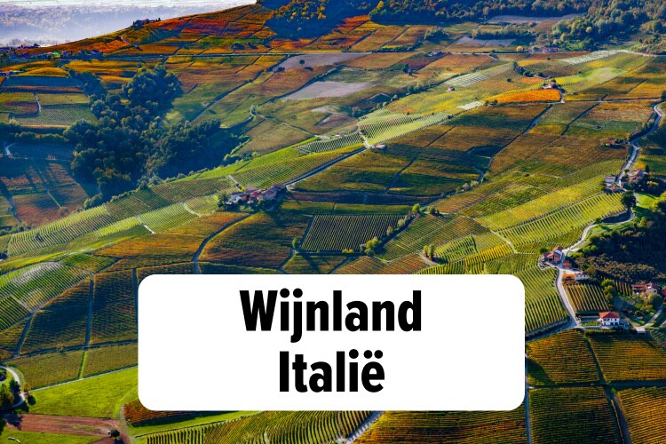 ontdek/wijn/landen/italie/supertuscans/artikel-wijnlanditalie-contentbanner